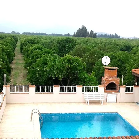 Portakal Dalyan